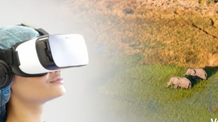 TEASER Music Care Immersion Multisensorielle
